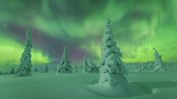 Bức ảnh “Frozen Silence Beneath the Lights” (“Im lặng băng giá dưới ánh sáng”) của nhiếp ảnh gia Nikki Born, lọt vào top 25 Bức ảnh xuất sắc nhất cuộc thi Northern Lights Photographer of the Year lần thứ 8 - Sputnik Việt Nam