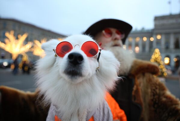Người đàn ông và cún cưng chụp ảnh trên phông nền Đèn trang trí mừng Năm Mới ở đường phố Saint-Peterburg - Sputnik Việt Nam