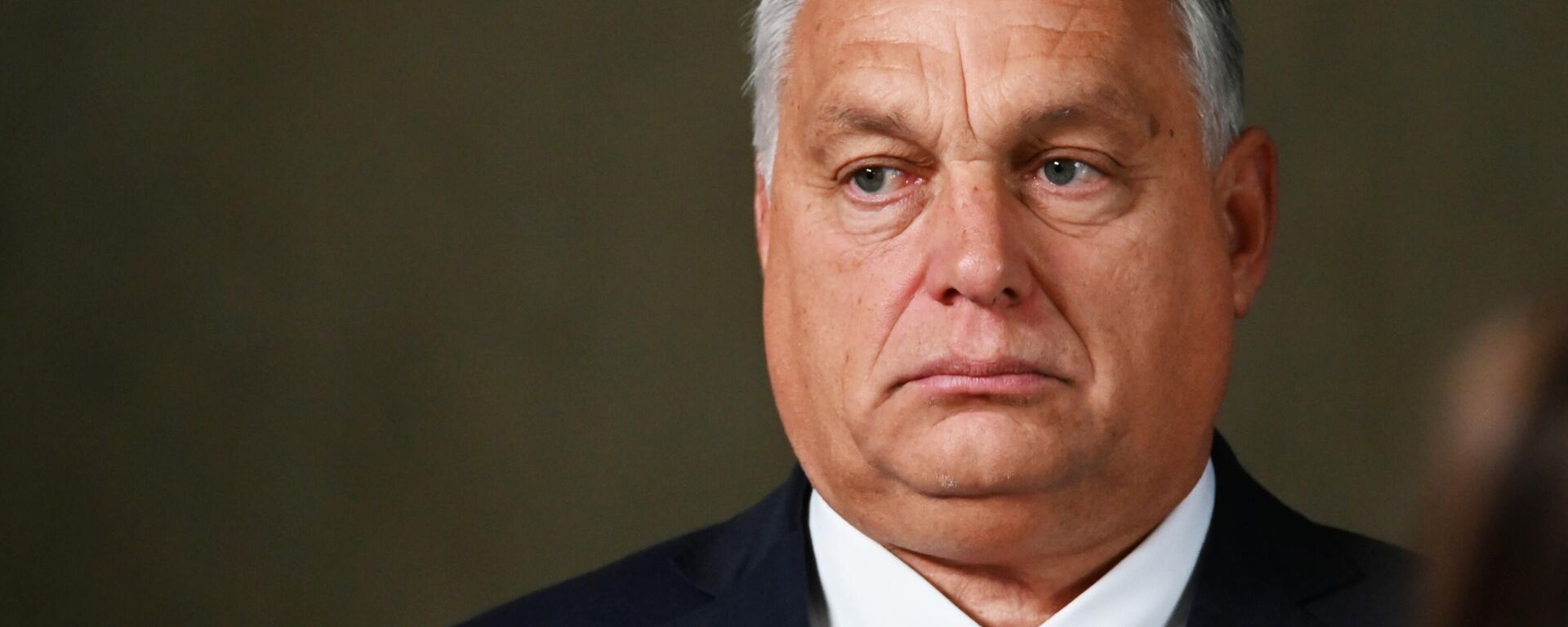 Thủ tướng Hungary Viktor Orban - Sputnik Việt Nam, 1920, 08.12.2025