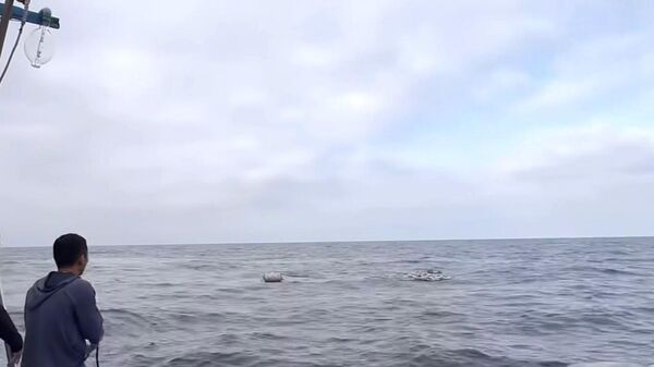 Chìm tàu cá trên vùng biển Lý Sơn, Quảng Ngãi  - Sputnik Việt Nam