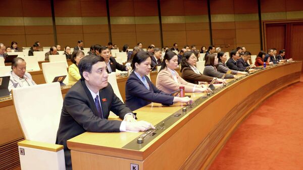 Quốc hội bầu Phó Chủ tịch Quốc hội, Ủy viên Ủy ban Thường vụ Quốc hội - Sputnik Việt Nam