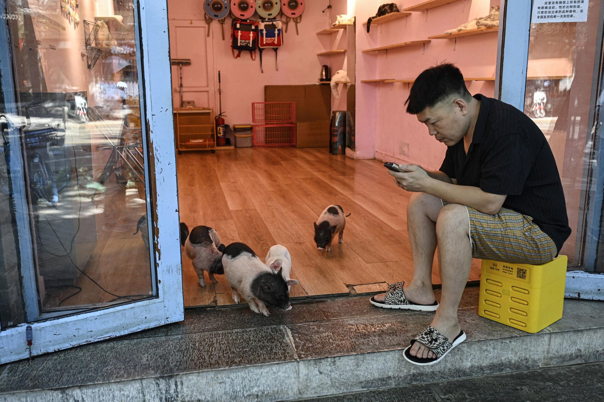 Một người đàn ông đang xem điện thoại ở Bắc Kinh, Trung Quốc. - Sputnik Việt Nam, 1920, 10.12.2025