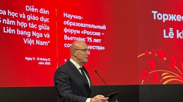 Phó Thủ tướng Nga Dmitry Chernyshenko  - Sputnik Việt Nam