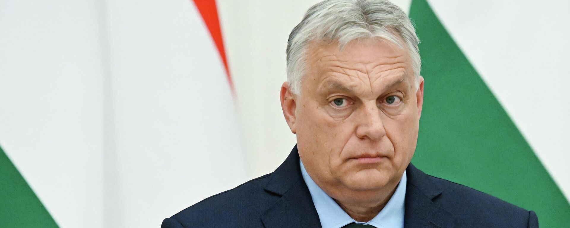 Thủ tướng Hungary Viktor Orban - Sputnik Việt Nam, 1920, 11.02.2026