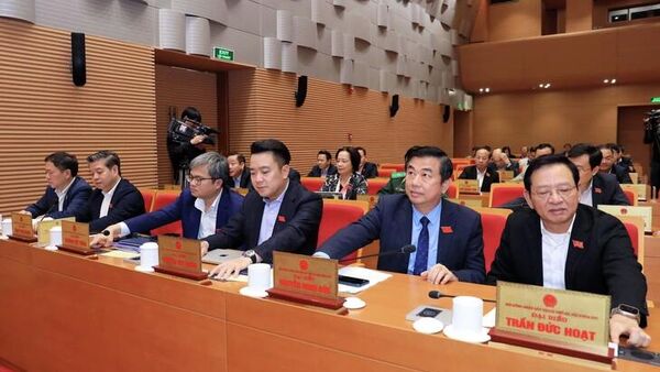 Các đại biểu bấm nút thông qua nghị quyết - Sputnik Việt Nam