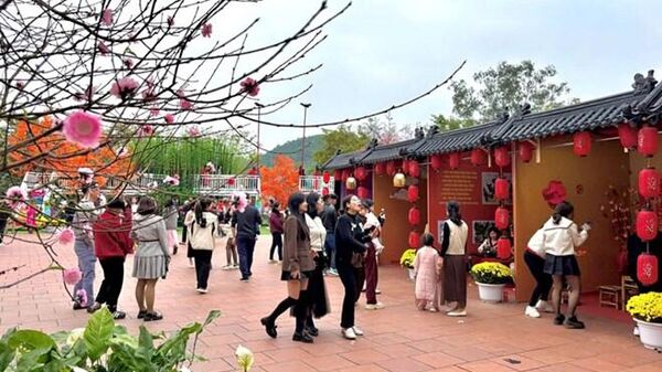 Bộ Tài chính nêu cơ sở thực hiện việc tặng quà cho nhân dân dịp Tết Nguyên đán - Sputnik Việt Nam