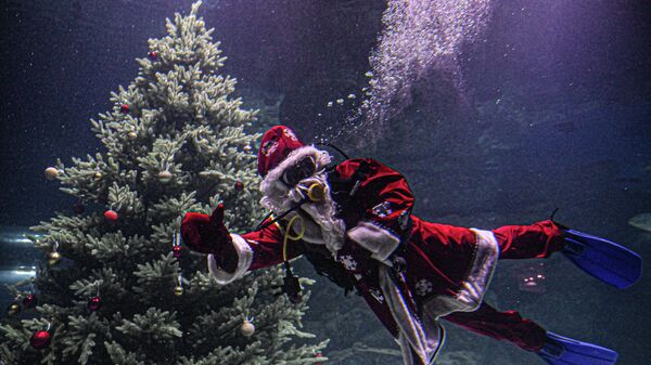 Thợ lặn trong trang phục Ông già Tuyết lặn xuống thiên cung chính của Moskvarium tại VDNH - Sputnik Việt Nam
