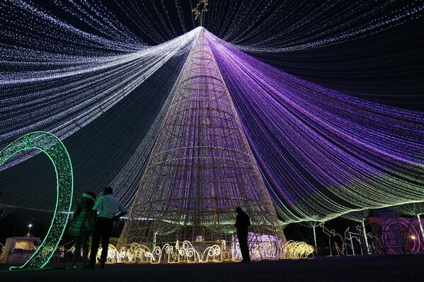 Cây thông Năm mới ở Abuja, Nigeria - Sputnik Việt Nam