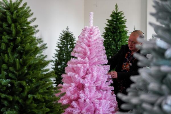 Sản xuất cây thông Giáng sinh ở thành phố Jinhua, Trung Quốc - Sputnik Việt Nam