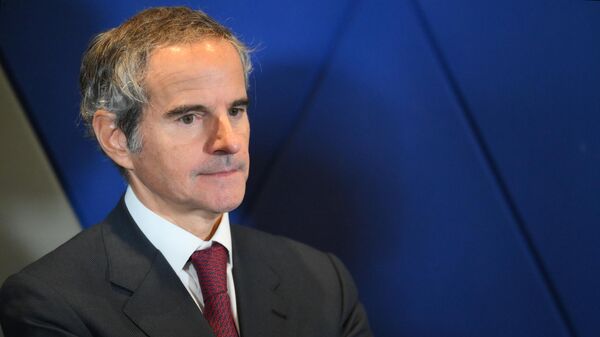 Tổng Giám đốc IAEA Rafael Grossi - Sputnik Việt Nam