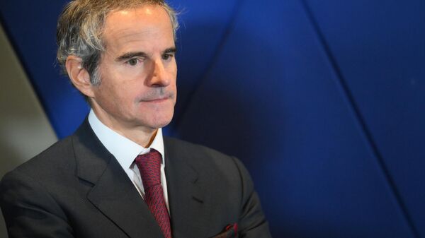 Tổng Giám đốc IAEA Rafael Grossi - Sputnik Việt Nam