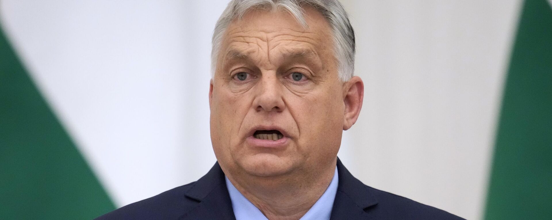 Thủ tướng Hungary Viktor Orban - Sputnik Việt Nam, 1920, 16.12.2025