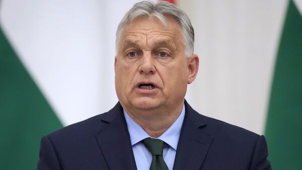 Thủ tướng Hungary Viktor Orban - Sputnik Việt Nam