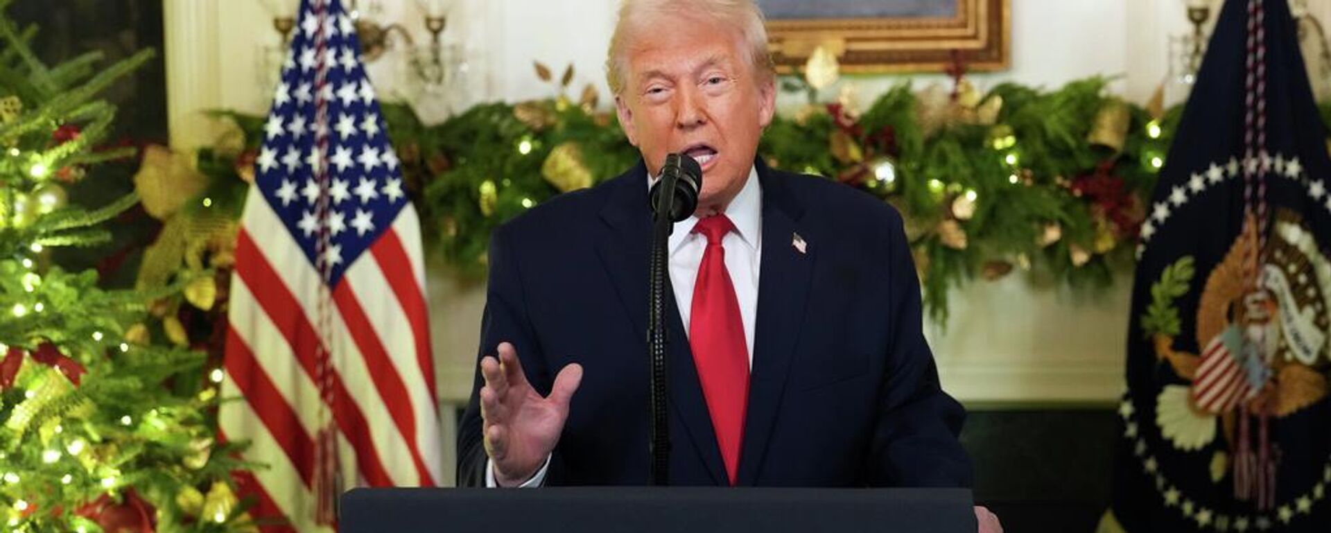 Tổng thống Mỹ Donald Trump - Sputnik Việt Nam, 1920, 29.12.2025