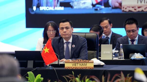 Thứ trưởng Bộ Ngoại giao Đặng Hoàng Giang, Trưởng đoàn Việt Nam phát biểu tại Hội nghị - Sputnik Việt Nam