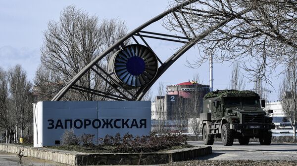 Nhà máy điện hạt nhân Zaporozhye - Sputnik Việt Nam