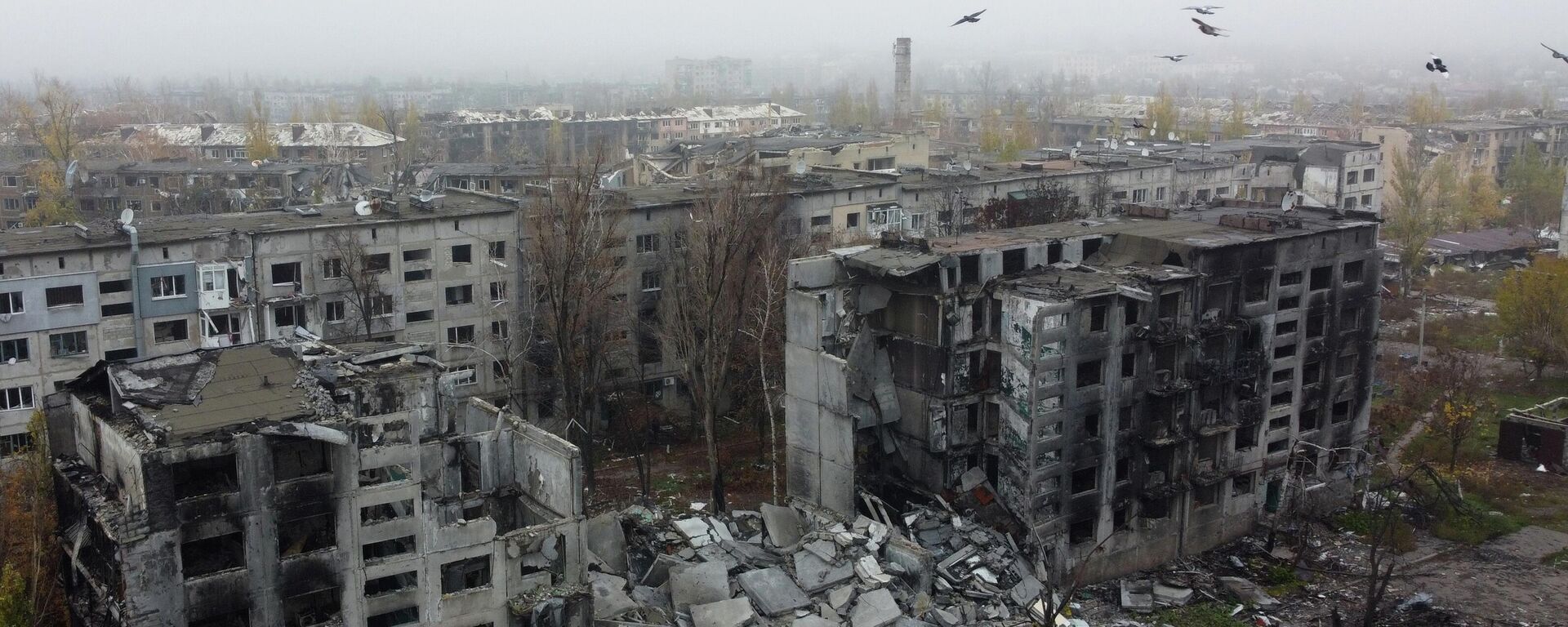 Quân đội Nga giải phóng Krasnoarmeysk. - Sputnik Việt Nam, 1920, 02.01.2026