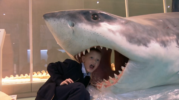 Tổng thống Nga thực hiện điều ước cho một cậu bé qua chương trình “Câu thông điều ước” - Sputnik Việt Nam