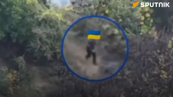 Lính Ukraina cải trang thành thường dân ở tỉnh Kharkov - Sputnik Việt Nam