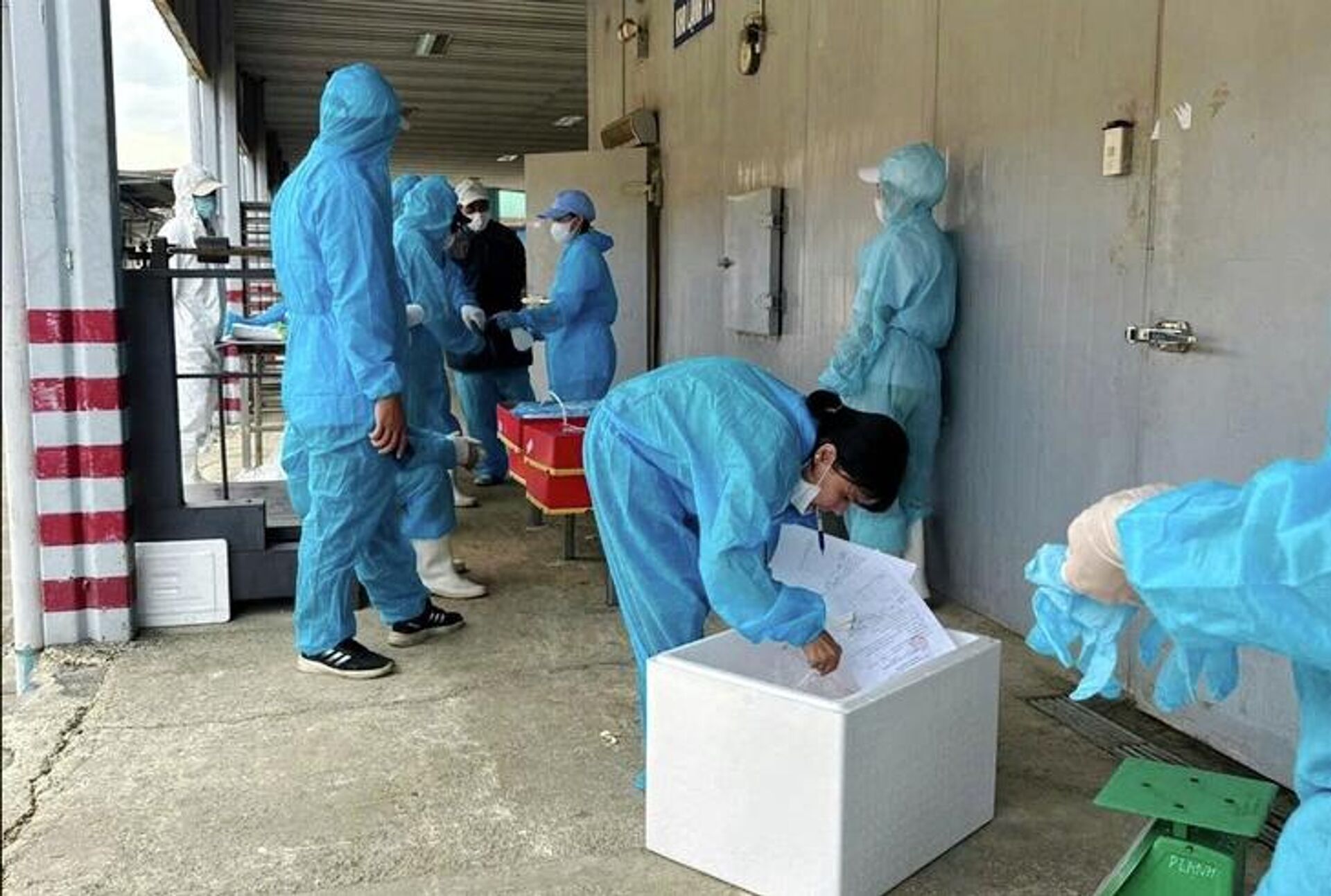 Cơ quan chức năng lấy mẫu các sản phẩm Cơ quan chức năng lấy mẫu các sản phẩm - Sputnik Việt Nam, 1920, 09.01.2026