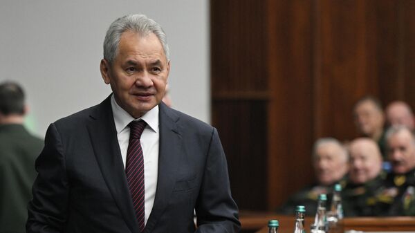 Thư ký Hội đồng An ninh Nga Sergei Shoigu - Sputnik Việt Nam