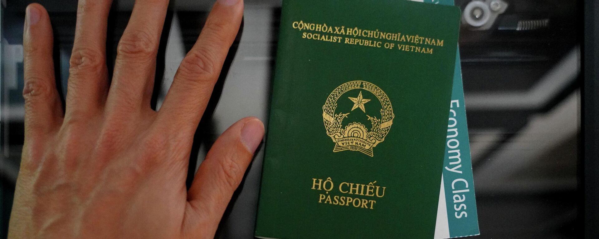 Hộ chiếu Việt Nam - Sputnik Việt Nam, 1920, 14.01.2026