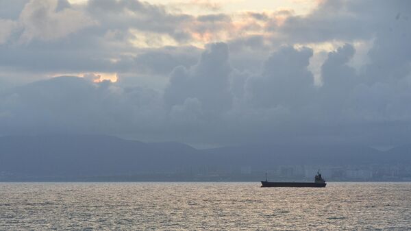 Một tàu chở dầu trên Biển Đen - Sputnik Việt Nam