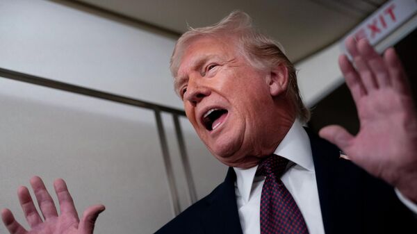 Tổng thống Mỹ Donald Trump - Sputnik Việt Nam