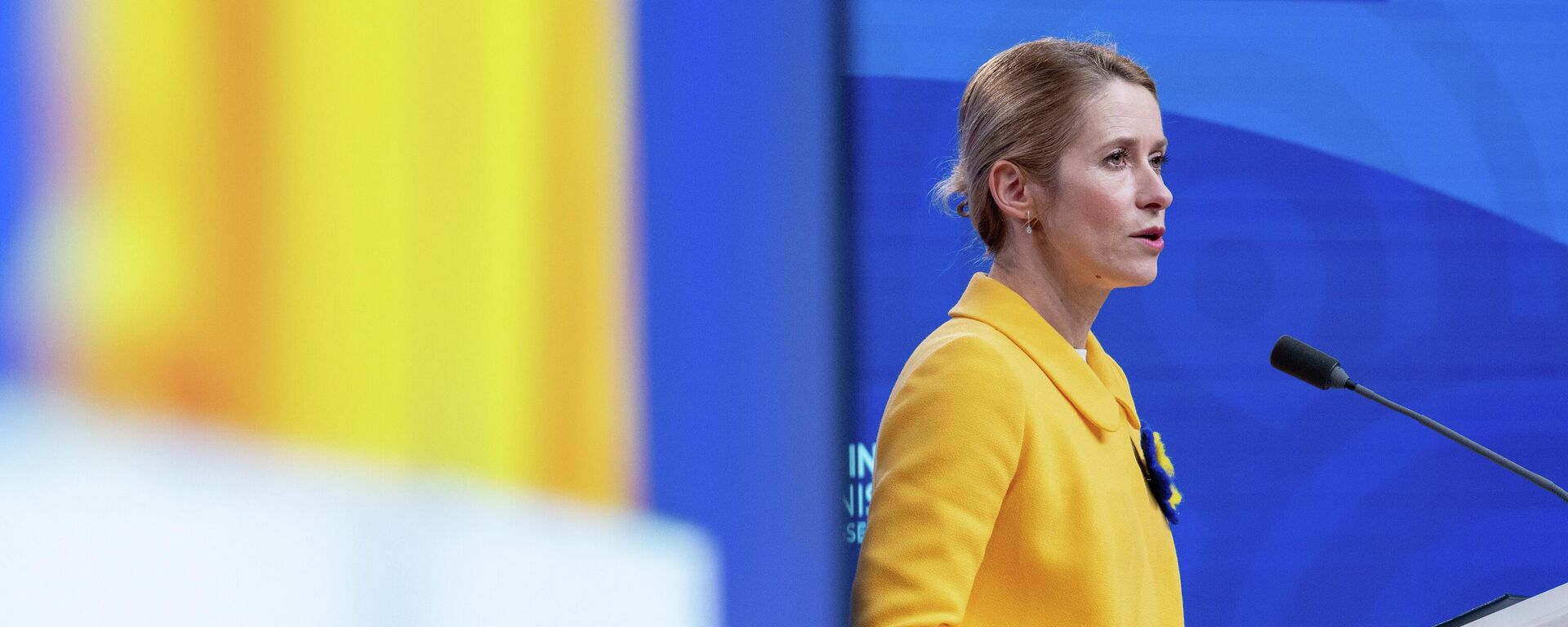 Cao uỷ Ngoại giao châu Âu Kaja Kallas - Sputnik Việt Nam, 1920, 19.01.2026