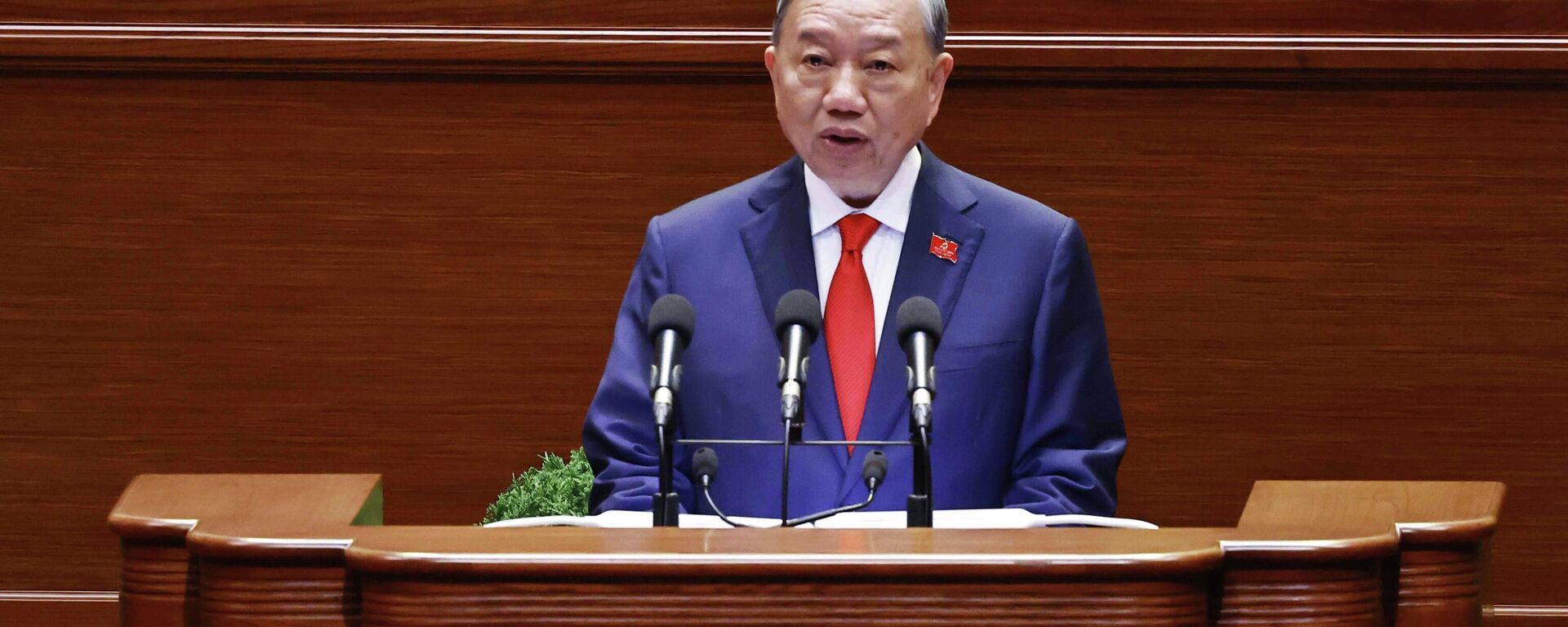 Khai mạc trọng thể Đại hội đại biểu toàn quốc lần thứ XIV của Đảng Khai mạc trọng thể Đại hội đại biểu toàn quốc lần thứ XIV của Đảng - Sputnik Việt Nam, 1920, 23.01.2026