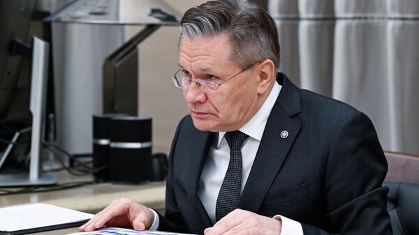 Tổng giám đốc tập đoàn nhà nước Rosatom Alexei Likhachev trong cuộc gặp với Thủ tướng Nga Mikhail Mishustin - Sputnik Việt Nam