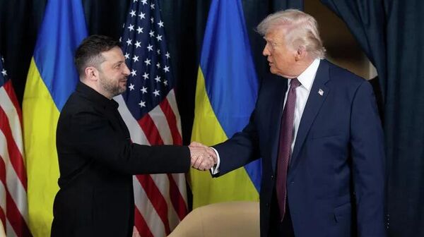 Tổng thống Vladimir Zelensky và Tổng thống Donald Trump trong cuộc gặp bên lề Diễn đàn Kinh tế Thế giới tại Davos - Sputnik Việt Nam