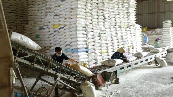 Vận chuyển gạo thương phẩm phục vụ thị trường trong nước và xuất khẩu tại nhà máy của Tổng công ty Lương thực miền Nam, thành phố Cần Thơ - Sputnik Việt Nam