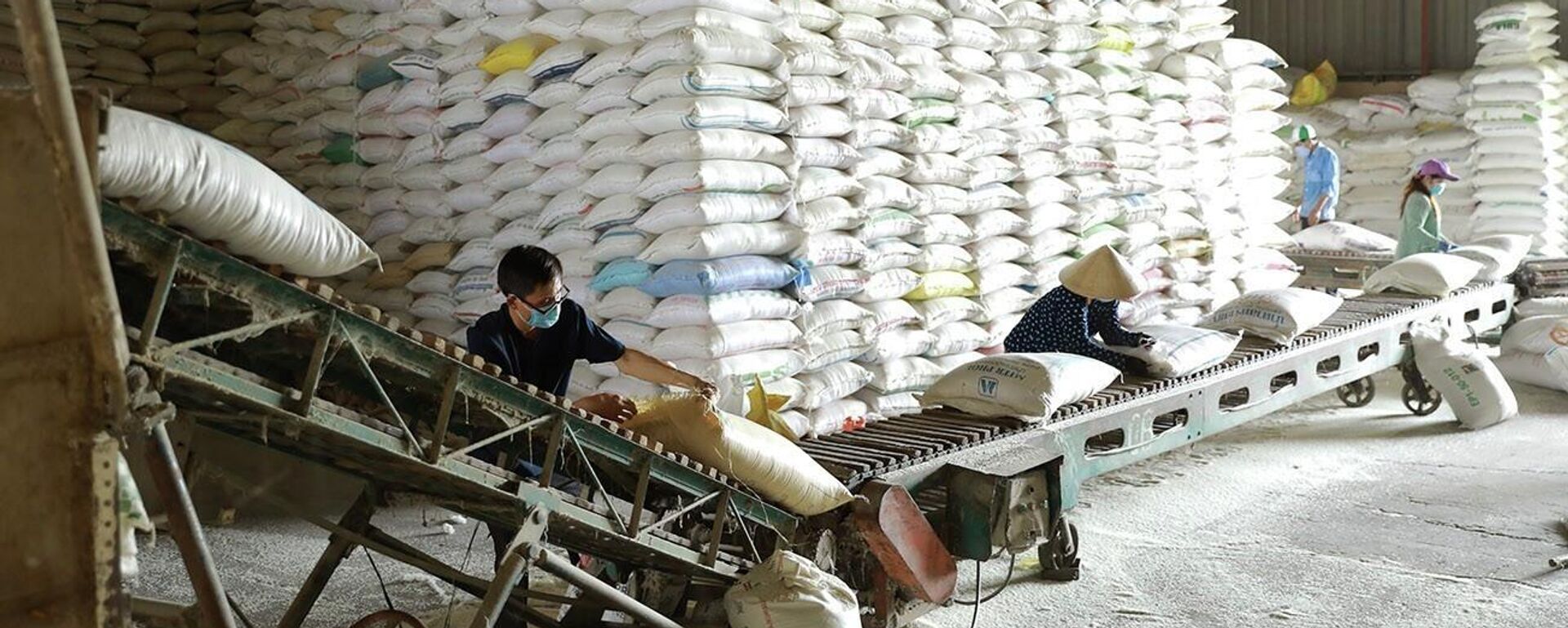 Vận chuyển gạo thương phẩm phục vụ thị trường trong nước và xuất khẩu tại nhà máy của Tổng công ty Lương thực miền Nam, thành phố Cần Thơ - Sputnik Việt Nam, 1920, 23.01.2026