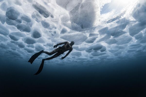 Bức ảnh "One Way Out" (Một lối thoát") của nhiếp ảnh gia James Ferrara, đoạt giải nhất trong hạng mục Cold Water (Vùng nước lạnh) tại cuộc thi Ocean Art 2025 - Sputnik Việt Nam