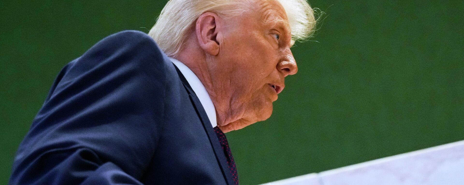 Tổng thống Hoa Kỳ Donald Trump - Sputnik Việt Nam, 1920, 27.01.2026