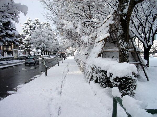 Thành phố Toyama, Nhật Bản sau cơn bão tuyết. - Sputnik Việt Nam