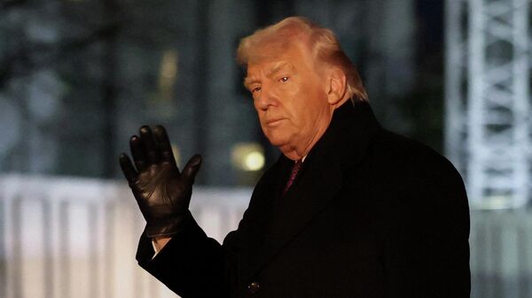 Tổng thống Mỹ Donald Trump  - Sputnik Việt Nam