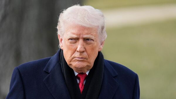 Tổng thống Mỹ Donald Trump  - Sputnik Việt Nam