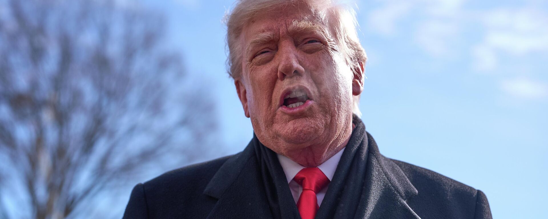 Tổng thống Mỹ Donald Trump - Sputnik Việt Nam, 1920, 30.01.2026