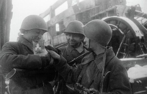 «Ký ức yên bình» - Sputnik Việt Nam