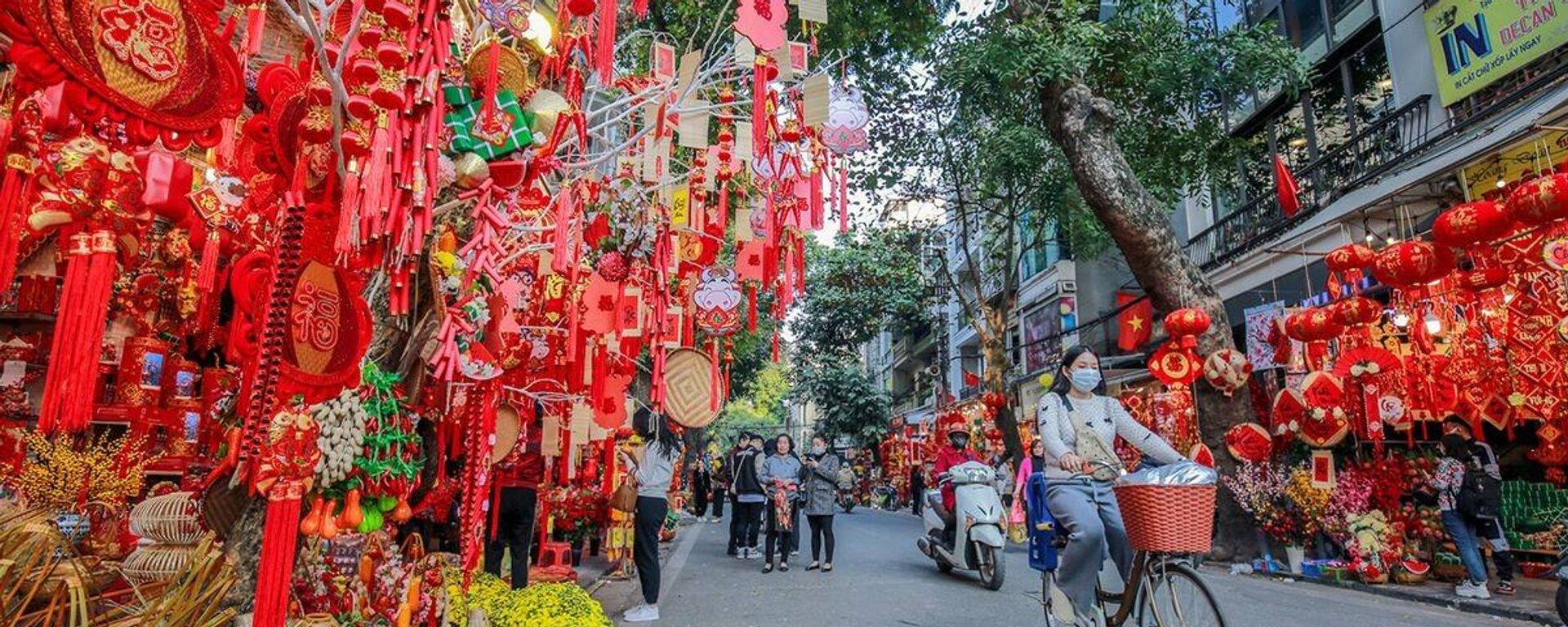 Hà Nội sôi động chuỗi hoạt động du lịch chào Tết Nguyên đán Bính Ngọ 2026. - Sputnik Việt Nam, 1920, 15.02.2026