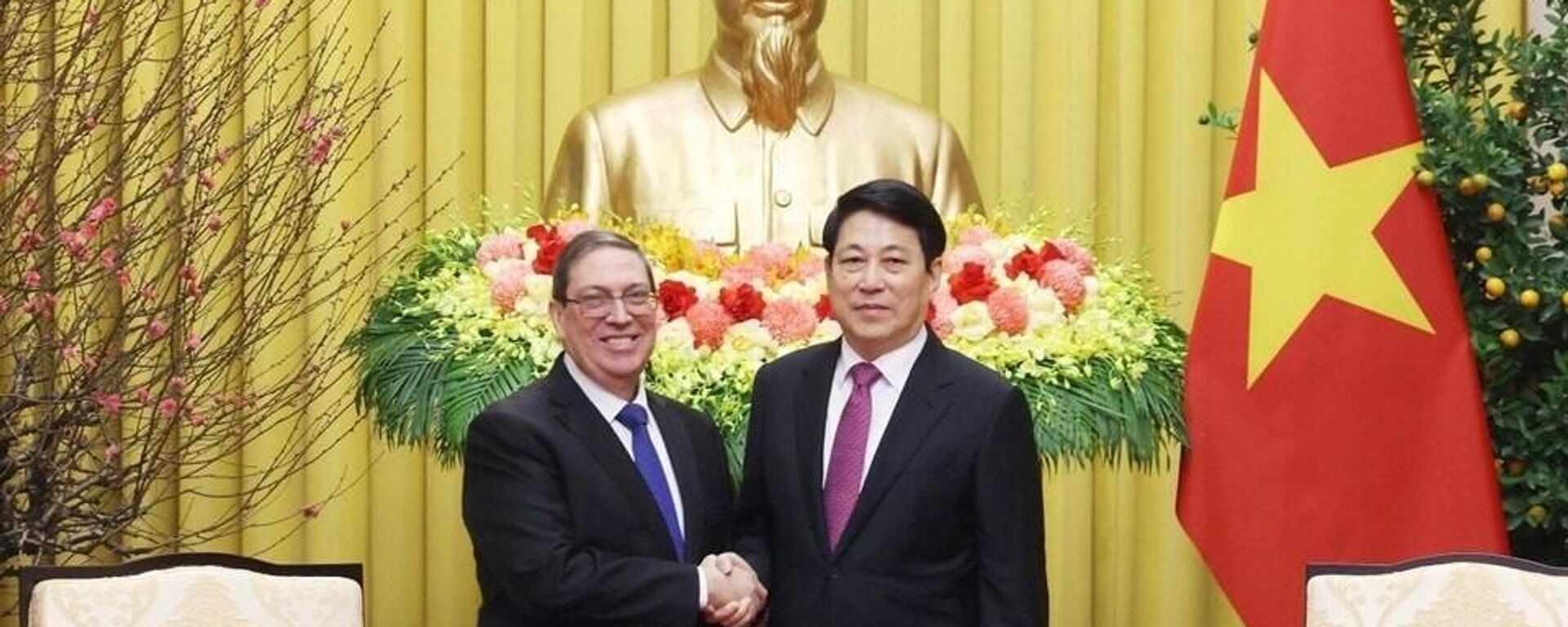 Chủ tịch nước tiếp Đặc phái viên Đảng, Nhà nước Cuba, Bộ trưởng Ngoại giao Cuba - Sputnik Việt Nam, 1920, 03.02.2026