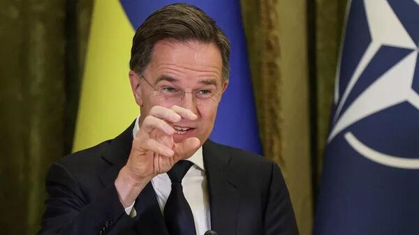 Tổng thư ký NATO Mark Rutte trong cuộc họp báo với Vladimir Zelensky tại Kiev vào ngày 3 tháng 2 năm 2026. - Sputnik Việt Nam