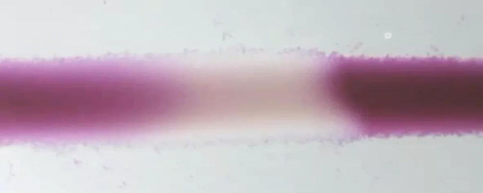 Một khung hình trích từ video Sóng nhu động trong vật liệu mới - Sputnik Việt Nam, 1920, 04.02.2026