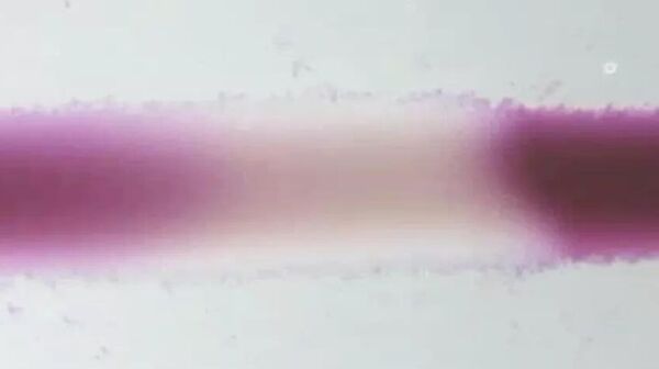 Một khung hình trích từ video Sóng nhu động trong vật liệu mới - Sputnik Việt Nam