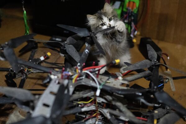 Khu vực làm việc của đội công binh thuộc nhóm chiến thuật tiểu đoàn (BTG) "Kashtan", lực lượng đặc nhiệm "Akhmat" (Bộ Quốc phòng Liên bang Nga) trên hướng Sumy trong chiến dịch quân sự đặc biệt - Sputnik Việt Nam