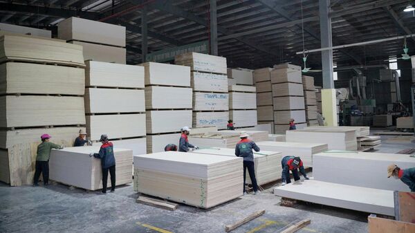 Phát triển công nghiệp chế biến gỗ gắn với lợi thế rừng trồng giữ vai trò chủ đạo trong phát triển công nghiệp, tạo động lực tăng trưởng cho Tuyên Quang trong giai đoạn phát triển mới. - Sputnik Việt Nam