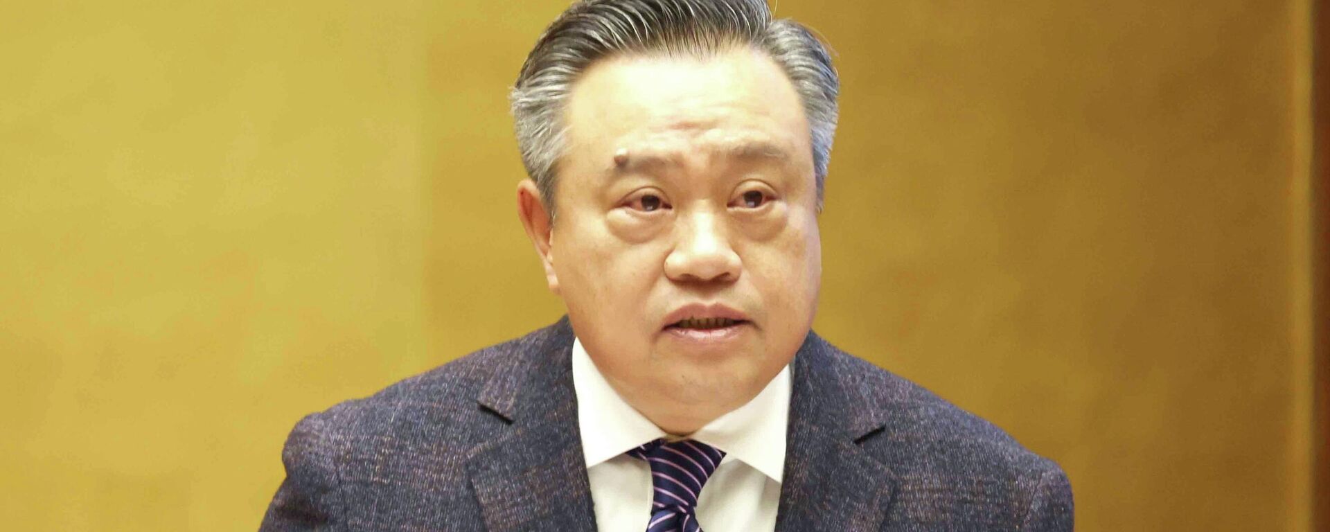 Đồng chí Trần Sỹ Thanh, Uỷ viên Bộ Chính trị, Bí thư Trung ương Đảng, Chủ nhiệm Uỷ ban Kiểm tra Trung ương giới thiệu Chuyên đề: “Đổi mới công tác kiểm tra, giám sát góp phần tăng cường kỷ cương, kỷ luật đáp ứng yêu cầu nhiệm vụ trong tình hình mới theo tinh thần Nghị quyết Đại hội XIV của Đảng” - Sputnik Việt Nam, 1920, 08.02.2026