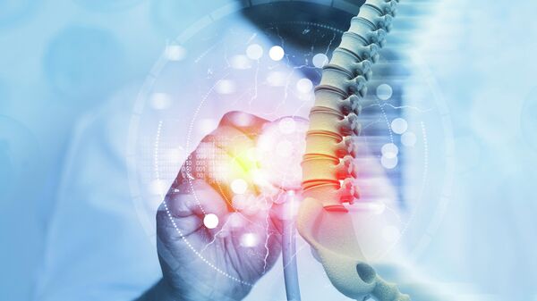 Nghiên cứu về tủy sống người - Sputnik Việt Nam